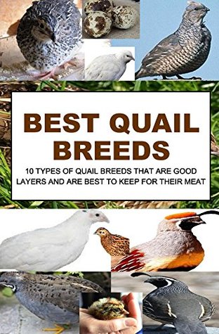 [f917e] %Read# !Online! Best Quail Breeds: 10 Types Of Quail Breeds That Are Good Layers And Are Best To Keep For Their Meat - Francis Okumu *ePub^