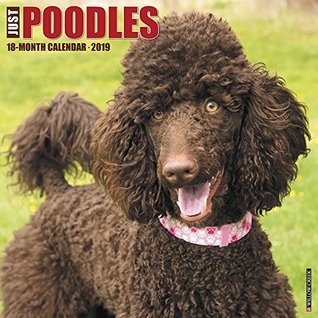 [60137] #Full@ !Download! Just Poodles 2019 Wall Calendar (Dog Breed Calendar) -  @e.P.u.b~