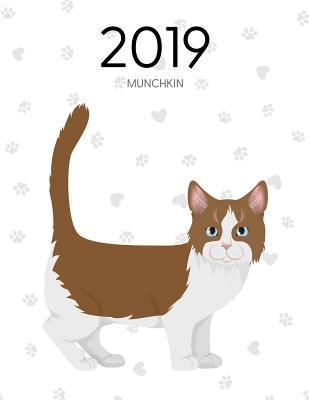 [dc41a] #Read% %Online@ 2019 Munchkin: Cat Dated Weekly Planner with to Do Notes & Cat Quotes - Munchkin -  *ePub%