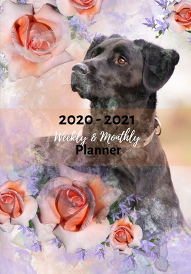 [32c4f] *Full@ ~Download# Weekly And Monthly Planner: Organize Your Daily Activities At Home School And Office - Watercolor Lab Dog - Leckey Planners *P.D.F!